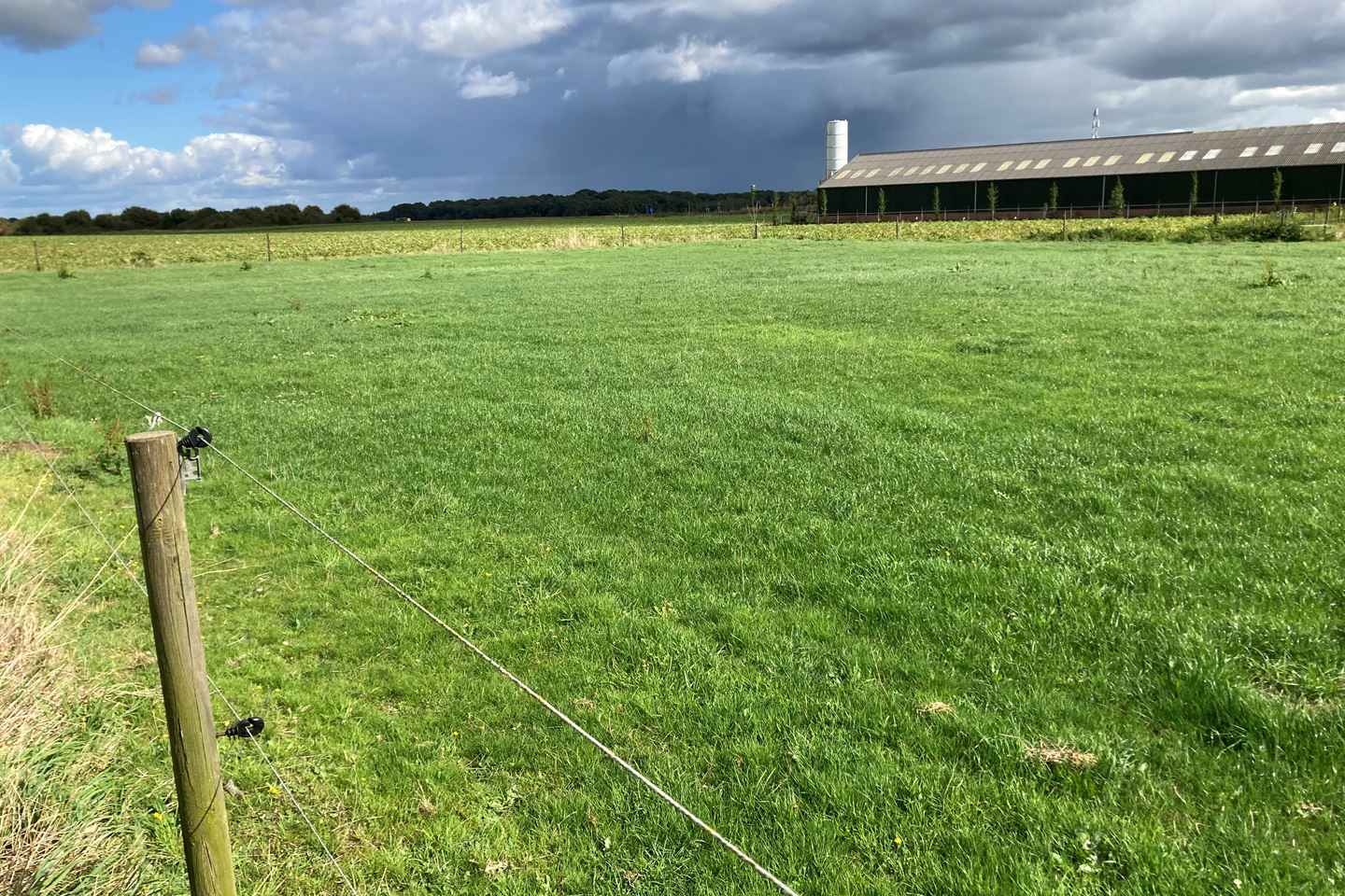 Bekijk foto 3 van Muizenhoekerweg