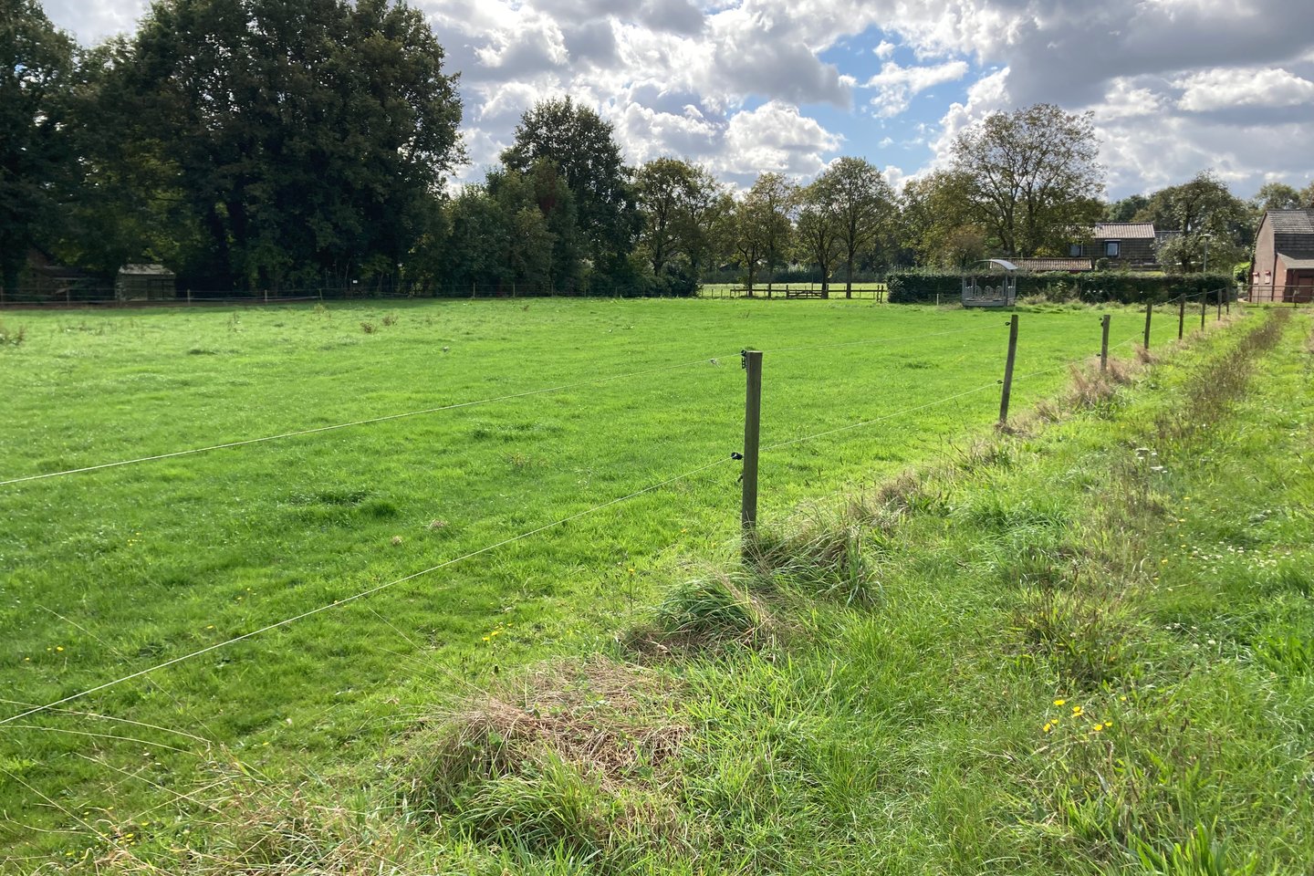 Bekijk foto 4 van Muizenhoekerweg