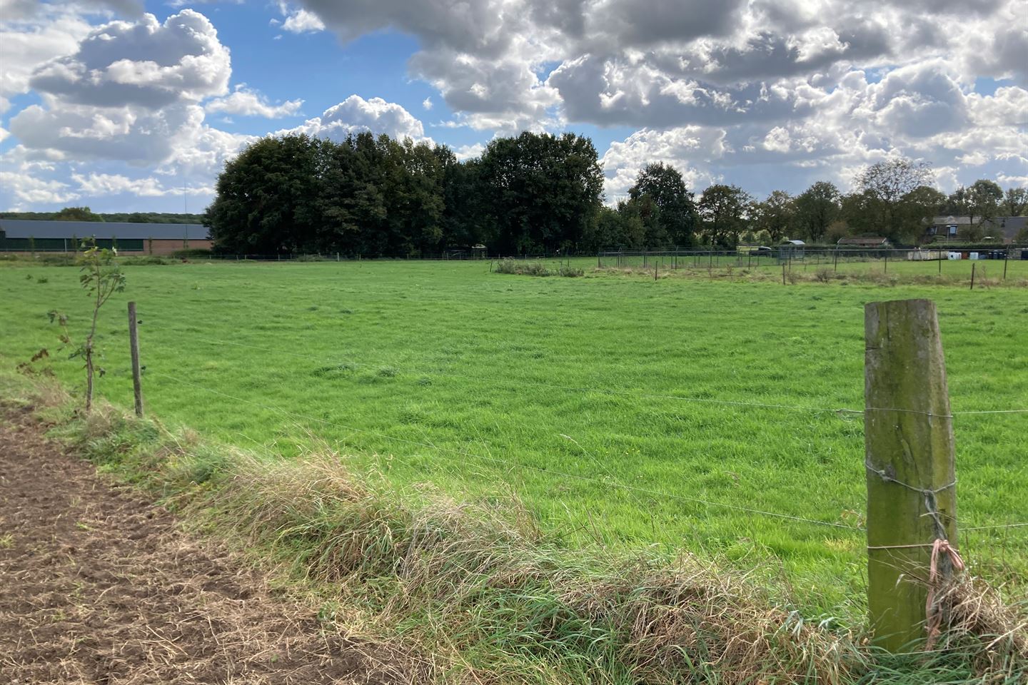 Bekijk foto 5 van Muizenhoekerweg