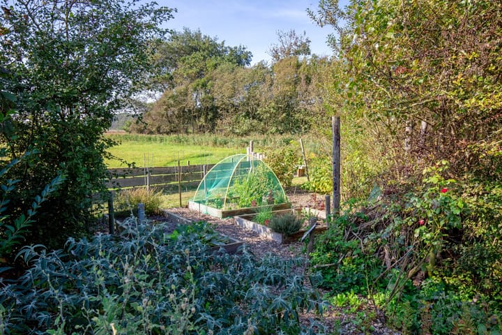 Foto 62 van Vuurtorenweg 99