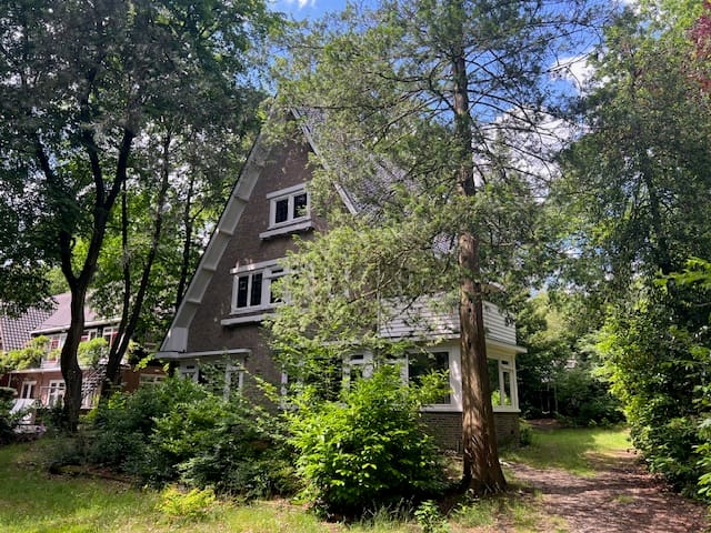 Foto 26 van Soerenseweg 150