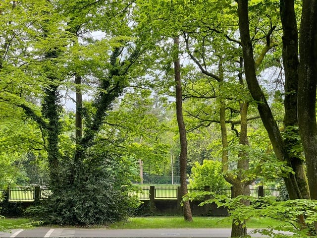 Foto 30 van Soerenseweg 150