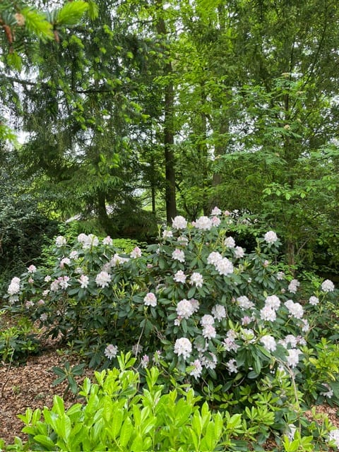 Foto 33 van Soerenseweg 150