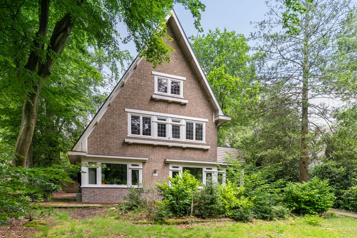 Foto 35 van Soerenseweg 150