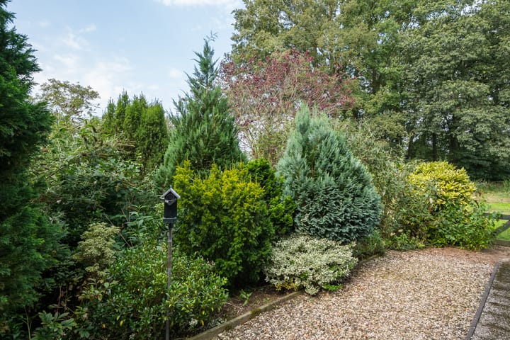 Foto 6 van Hamelandroute 70