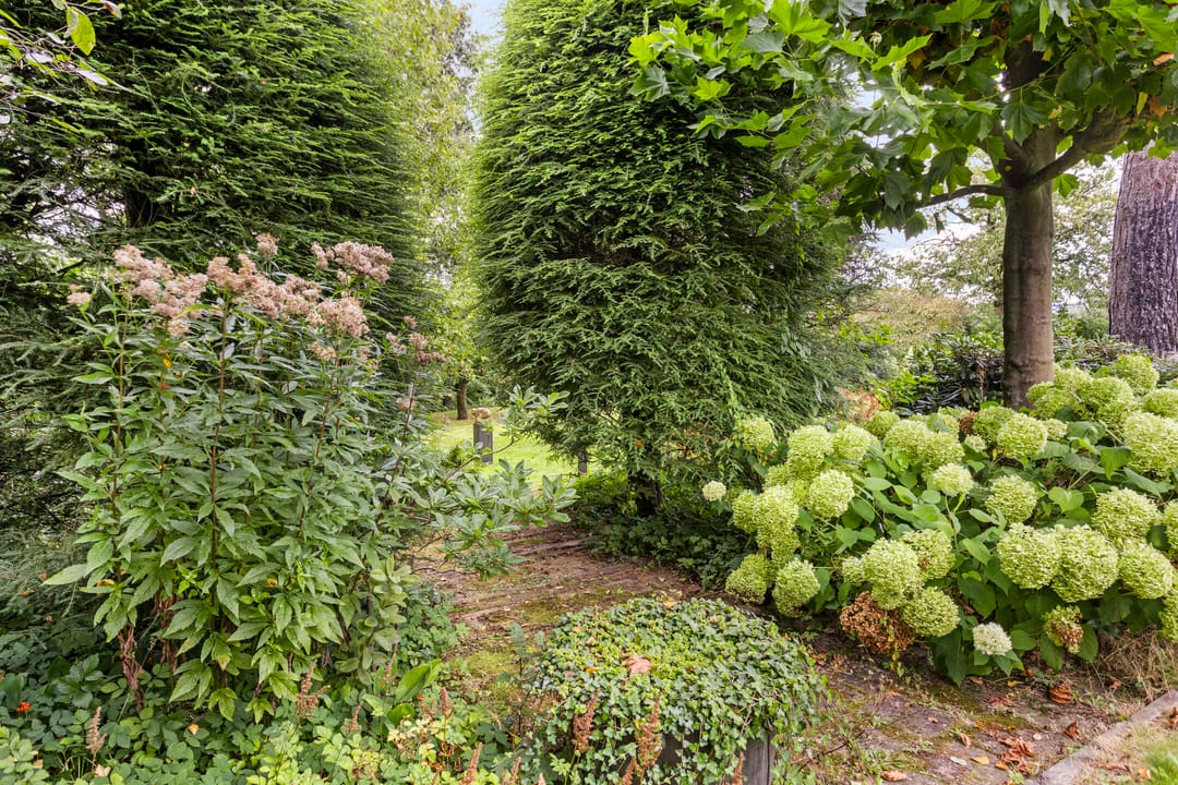 Foto 43 van Paus Joanneslaan 5