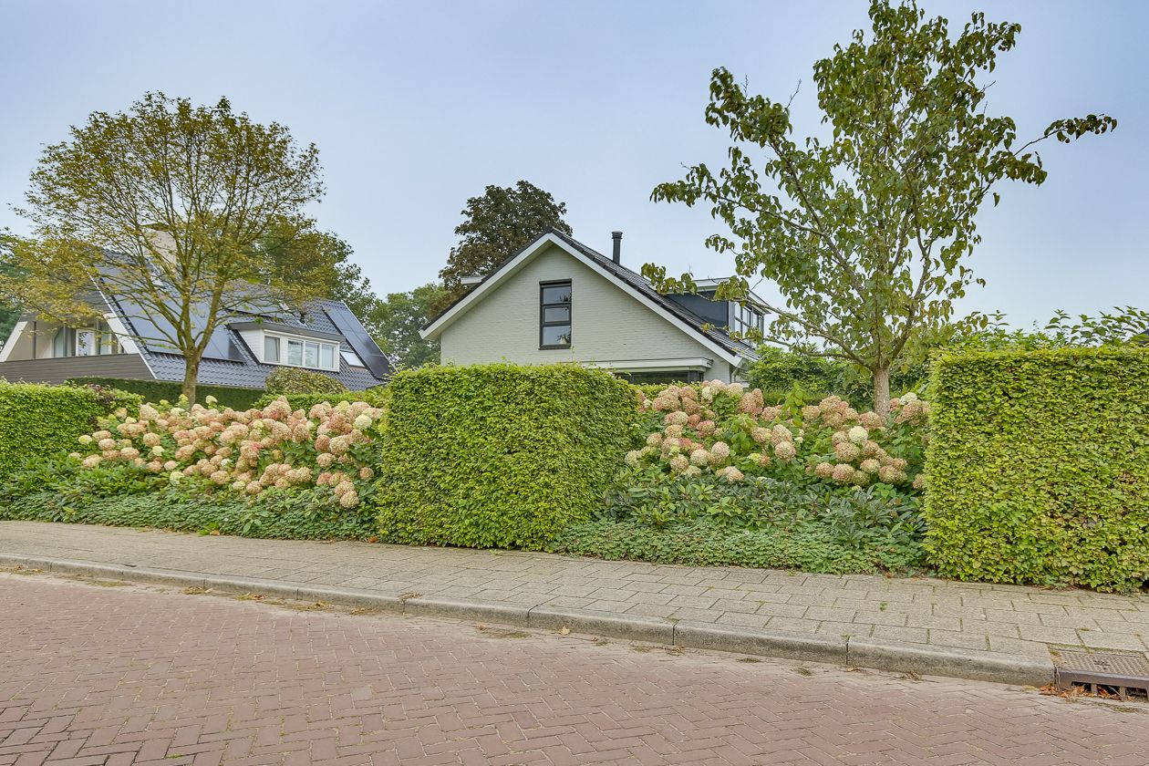 Foto 39 van Pastoor Rientjesstraat 45