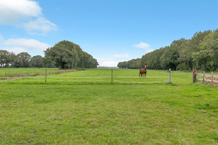 Bekijk foto 50 van Lagebroekweg 1