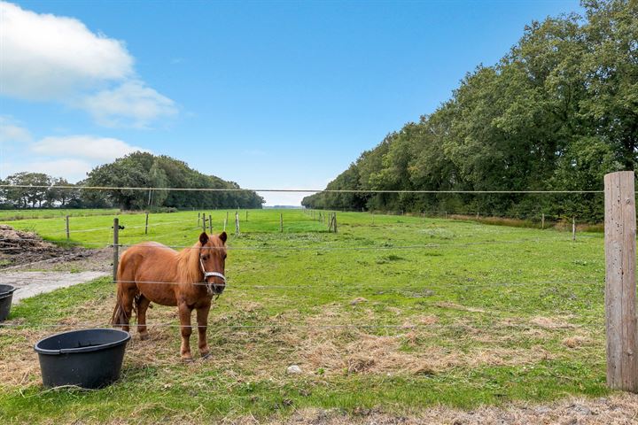 Bekijk foto 51 van Lagebroekweg 1