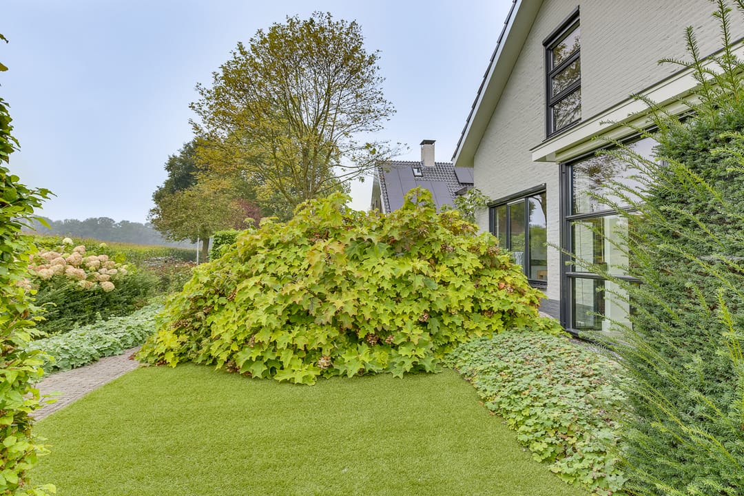 Foto 62 van Pastoor Rientjesstraat 45