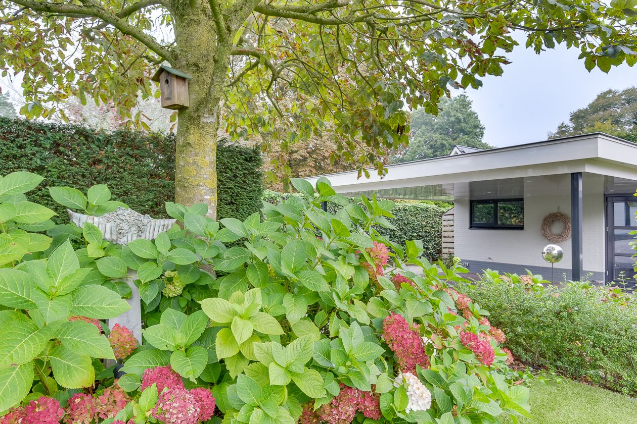 Foto 64 van Pastoor Rientjesstraat 45