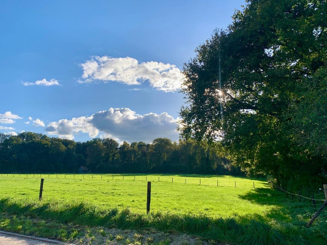 Foto 67 van Pastoor Rientjesstraat 45