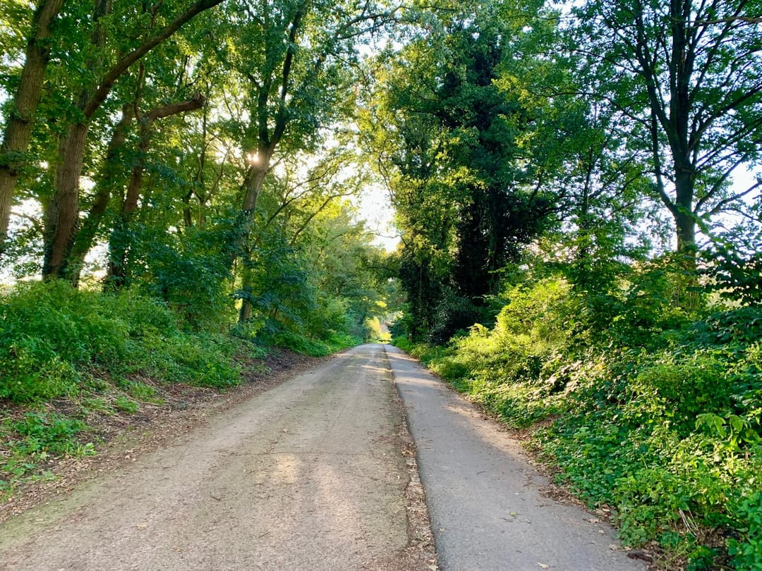 Foto 68 van Pastoor Rientjesstraat 45