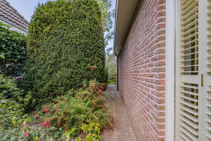 Foto 40 van Houtsnip 5
