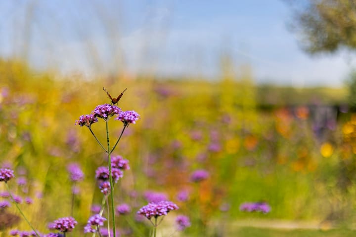 Foto 80 van de Seine 13