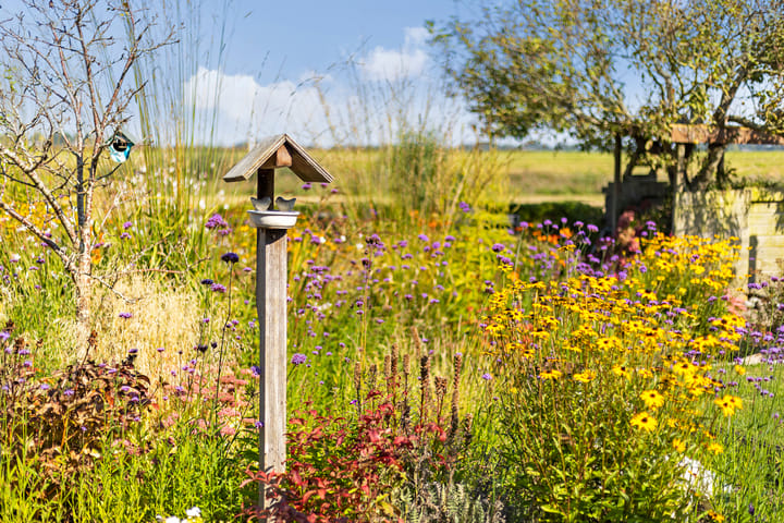 Foto 81 van de Seine 13