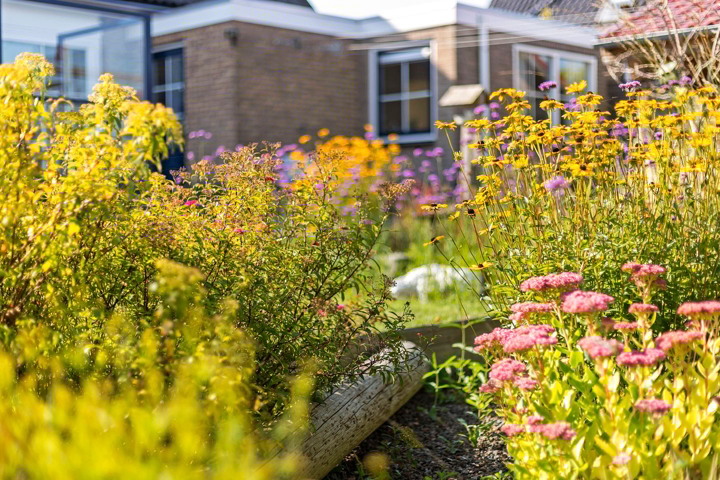 Foto 85 van de Seine 13