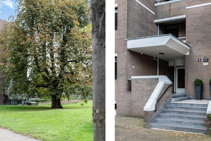 Photo 21 of Hazepaterslaan 254