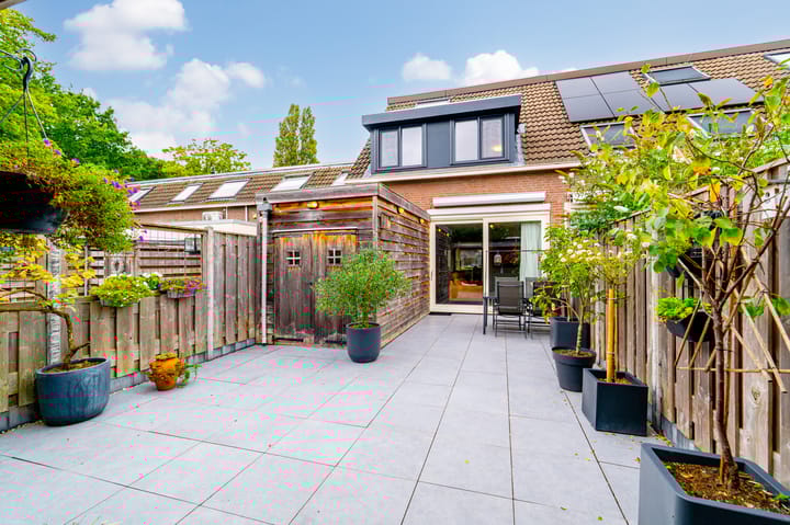 Foto 2 van Koolzaaderf 19