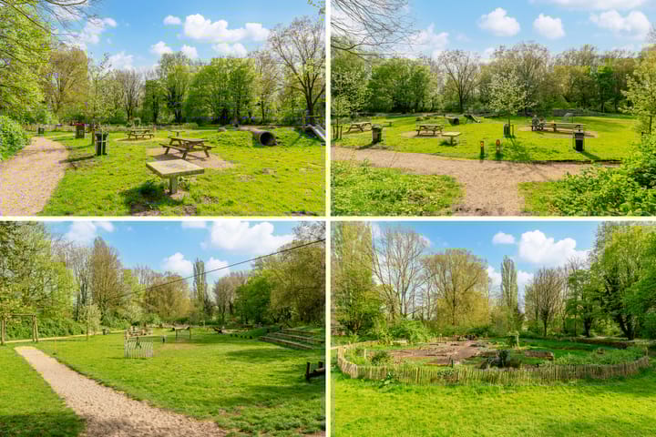 Foto 45 van Koolzaaderf 19