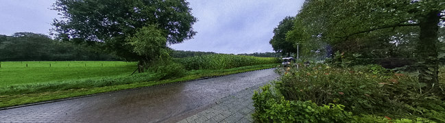 Bekijk 360° foto van Voortuin van Pastoor Rientjesstraat 45