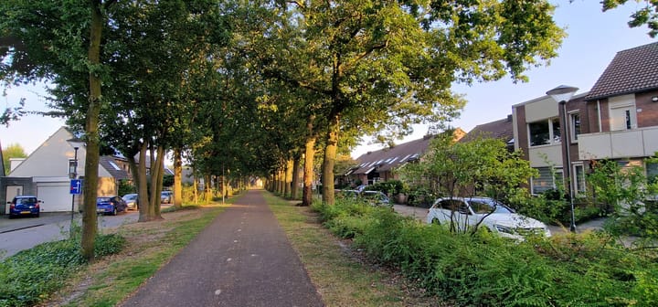 Foto 2 van Vechtstraat 49