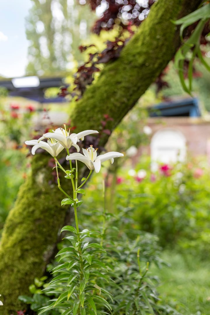 Foto 52 van Marktje 57