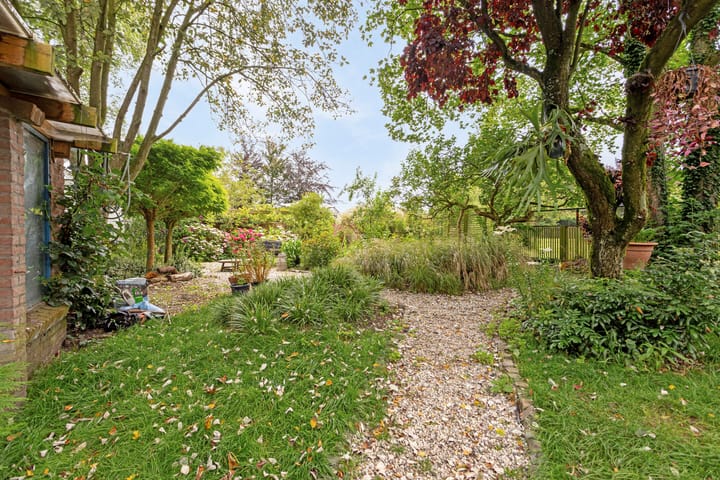 Foto 56 van Marktje 57