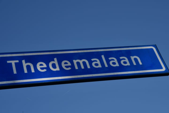 Bekijk foto 40 van Thedemalaan 4