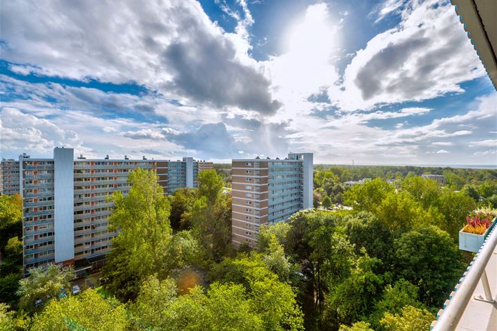 Bekijk foto 15 van Heliotrooplaan 290