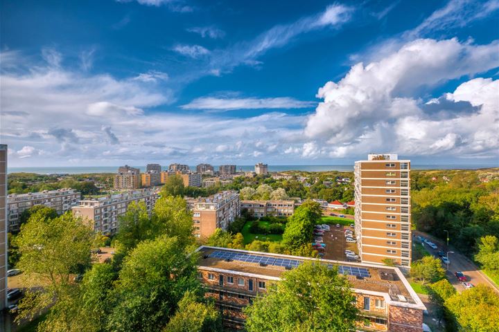 Bekijk foto 32 van Heliotrooplaan 290