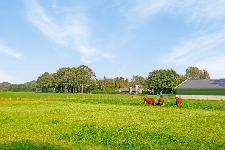 Foto 52 van Kapelweg 26