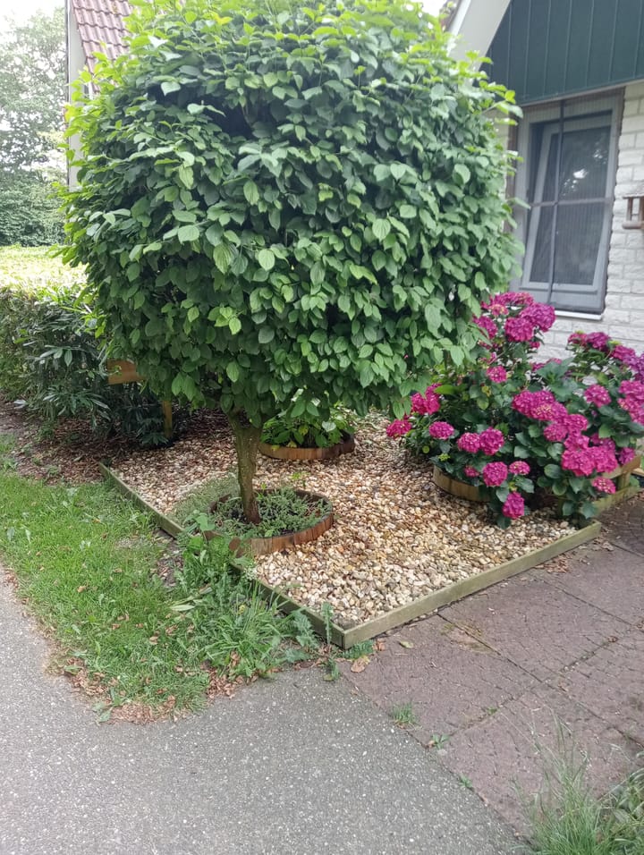 Photo 30 of Boslaan 1-R193