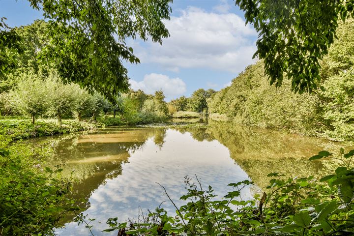 Bekijk foto 23 van Linnaeusparkweg 250-2