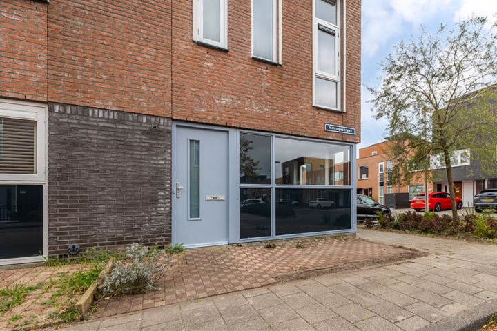 Bekijk foto 32 van Milongastraat 25