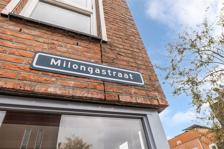 Bekijk foto 33 van Milongastraat 25