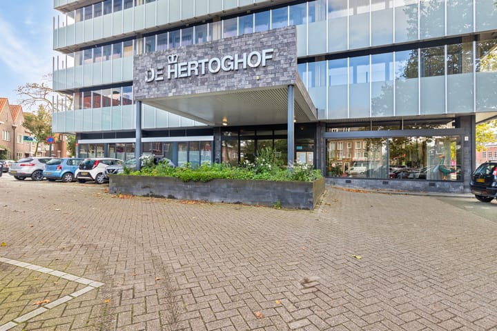 Foto 2 van Hertog Hendrik van Brabantplein 17-F