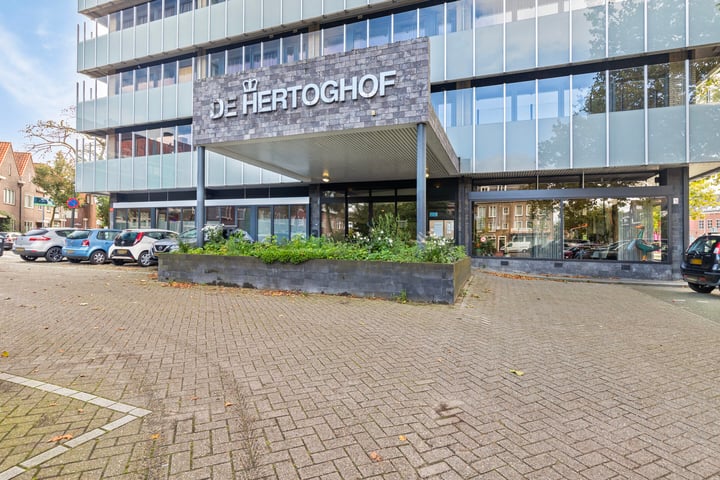 Bekijk foto 2 van Hertog Hendrik van Brabantplein 17-F