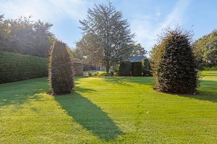 Foto 58 van Hogestraat 11