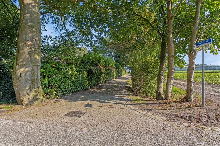 View photo 62 of Hogestraat 11