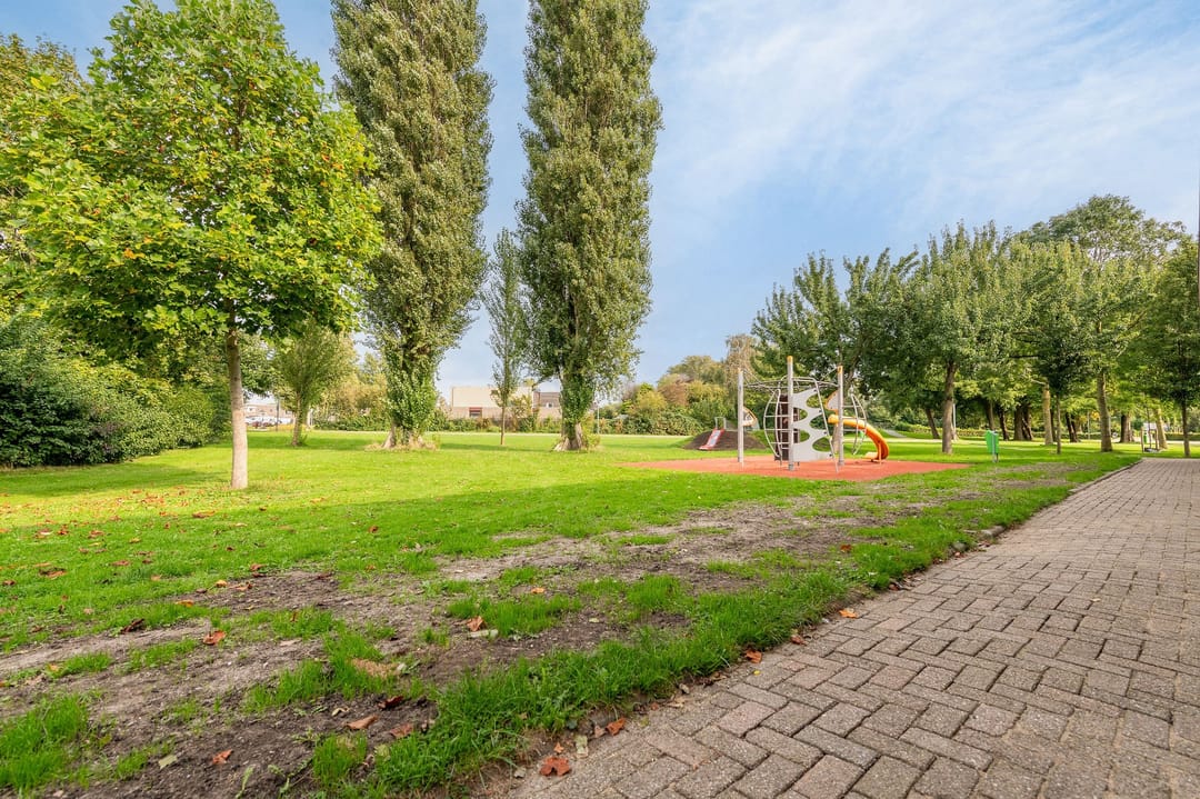 Foto 13 van Pollux 60