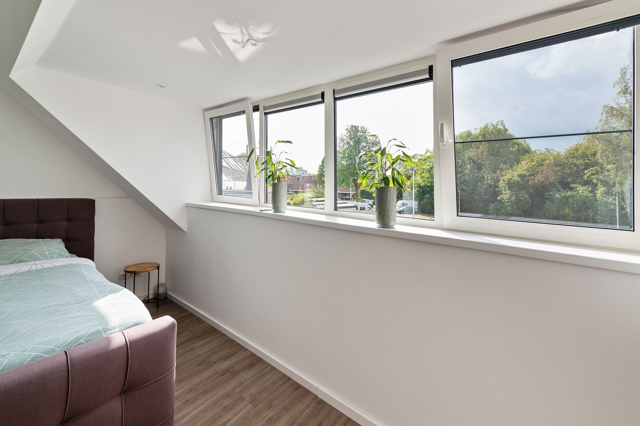 Foto 36 van Pollux 60