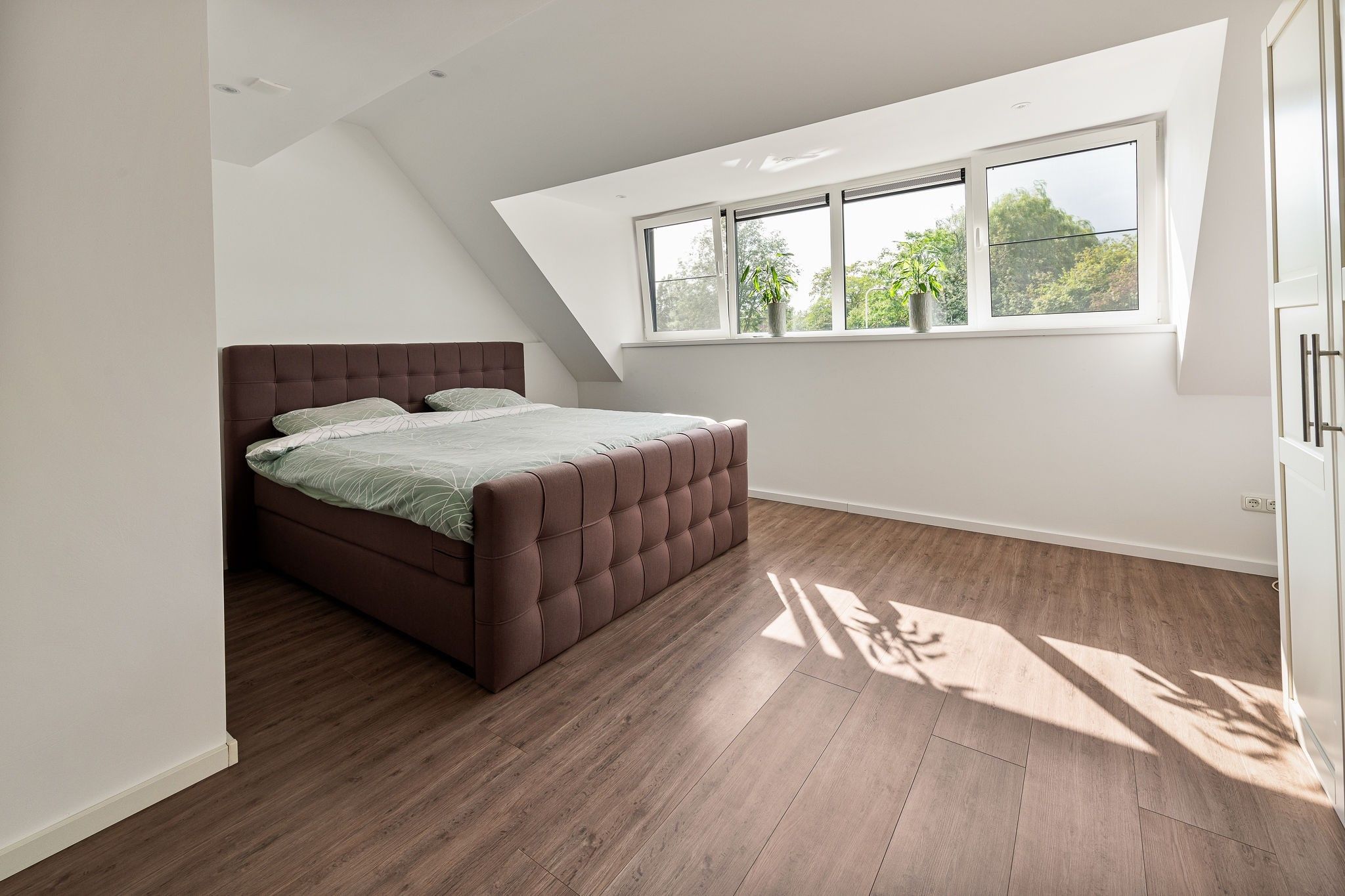 Foto 39 van Pollux 60