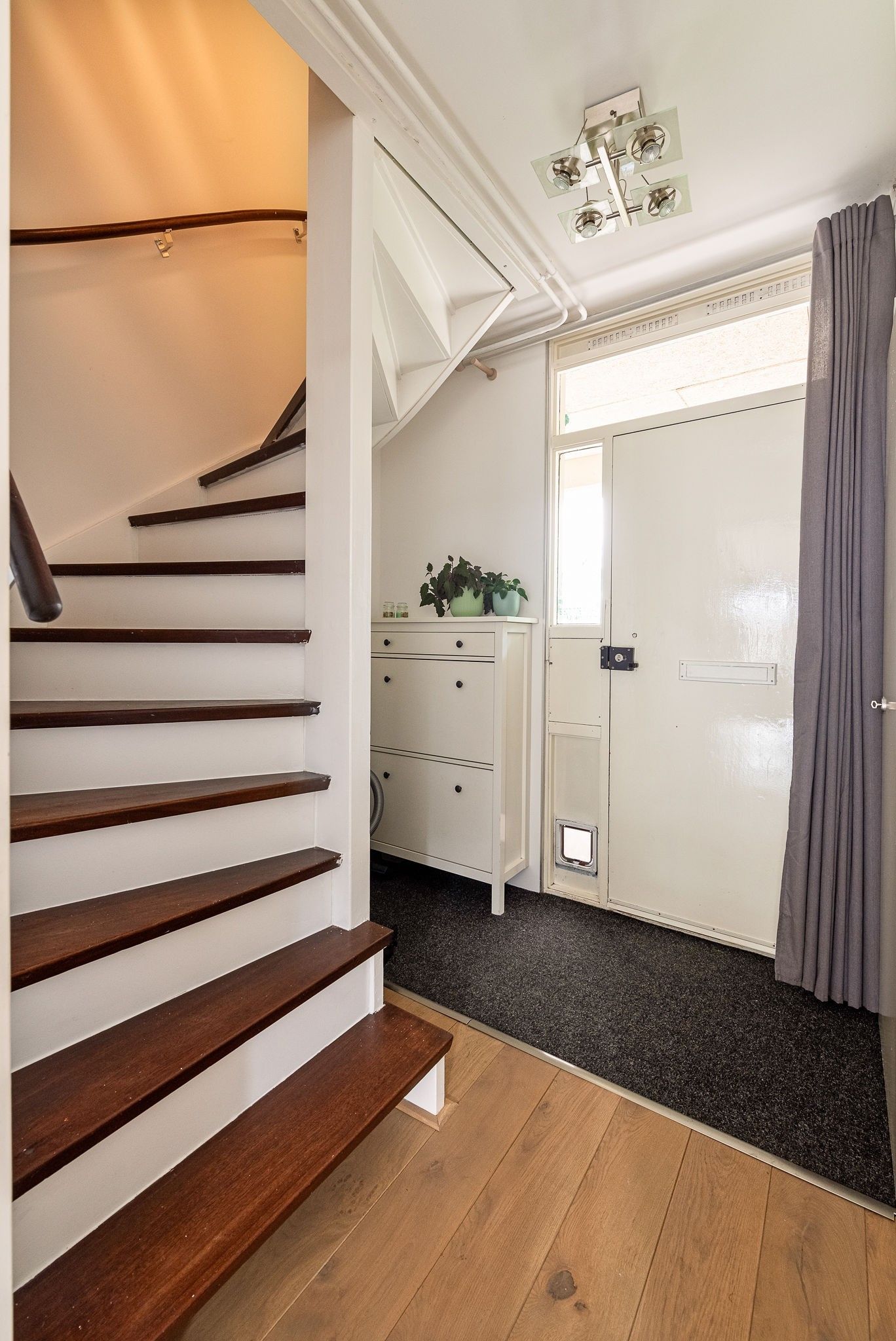 Foto 15 van Pollux 60