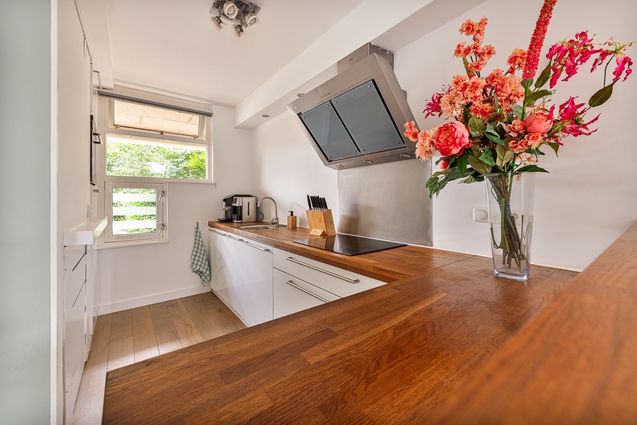 Foto 21 van Pollux 60