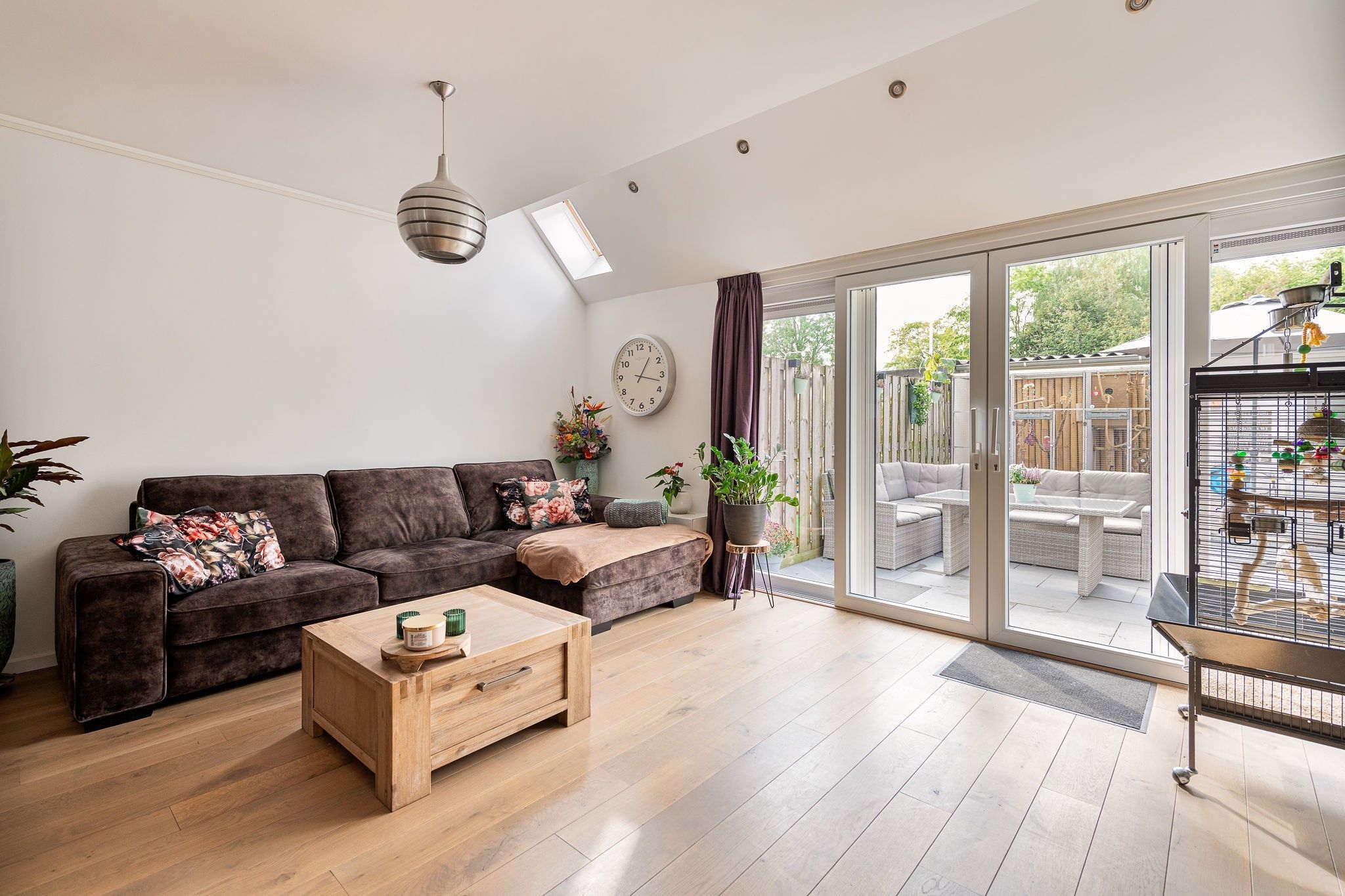 Foto 24 van Pollux 60