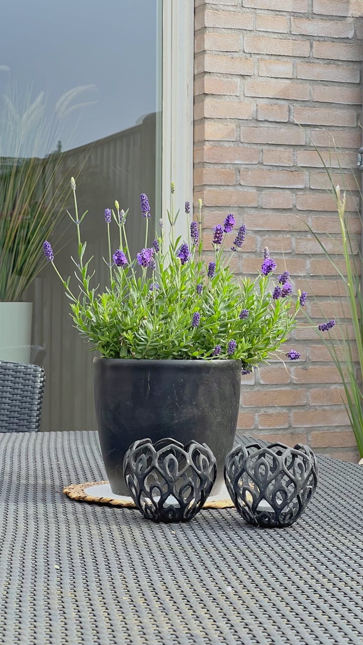 Foto 44 van Lievershil 26