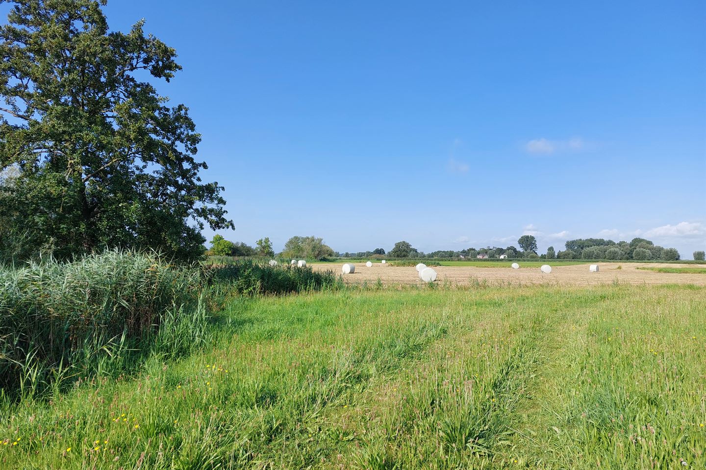 Bekijk foto 3 van Gennerdijk