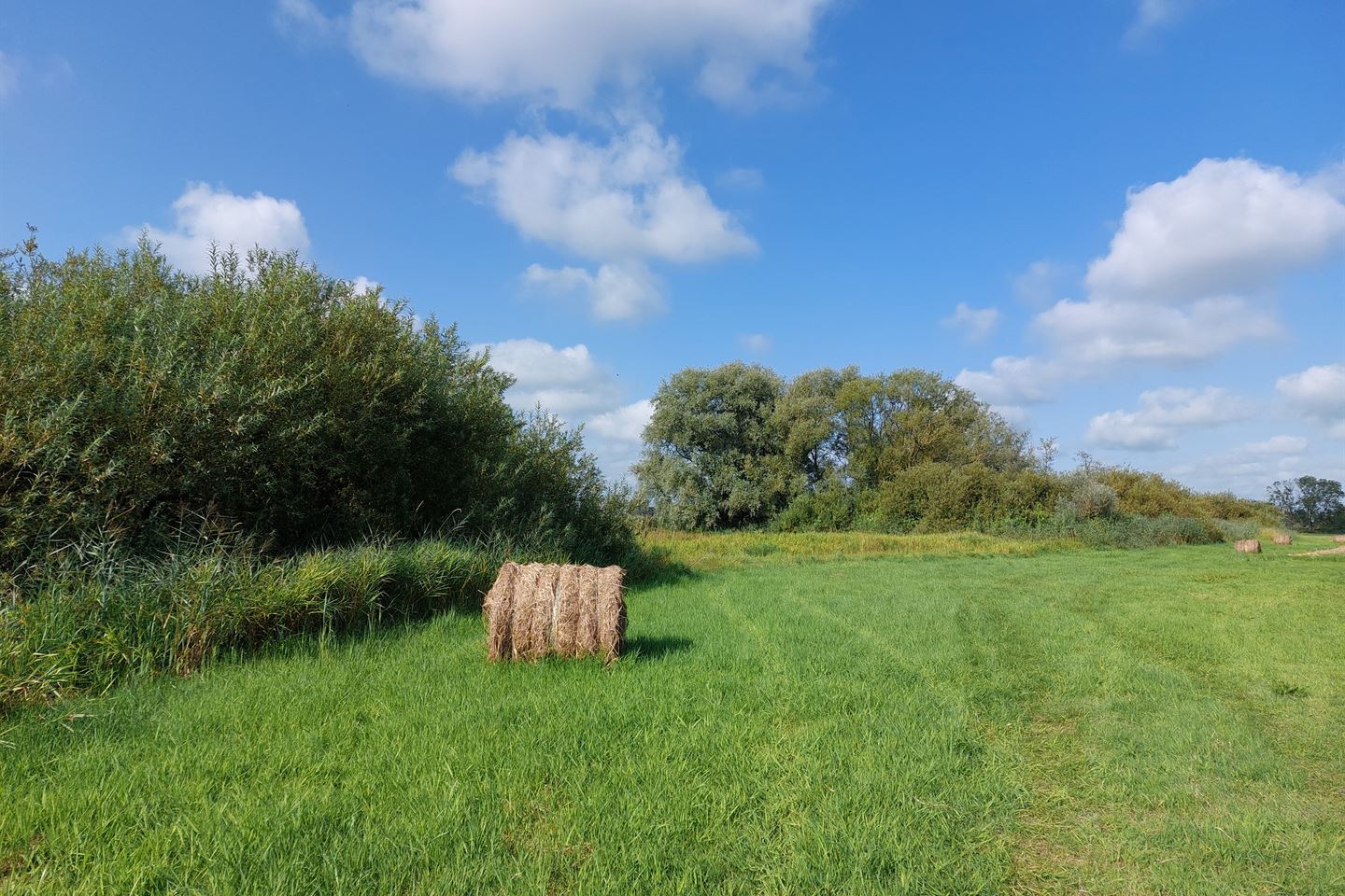 Bekijk foto 4 van Gennerdijk