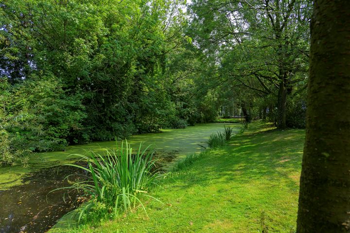 Bekijk foto 41 van Essenburgsingel 11-A